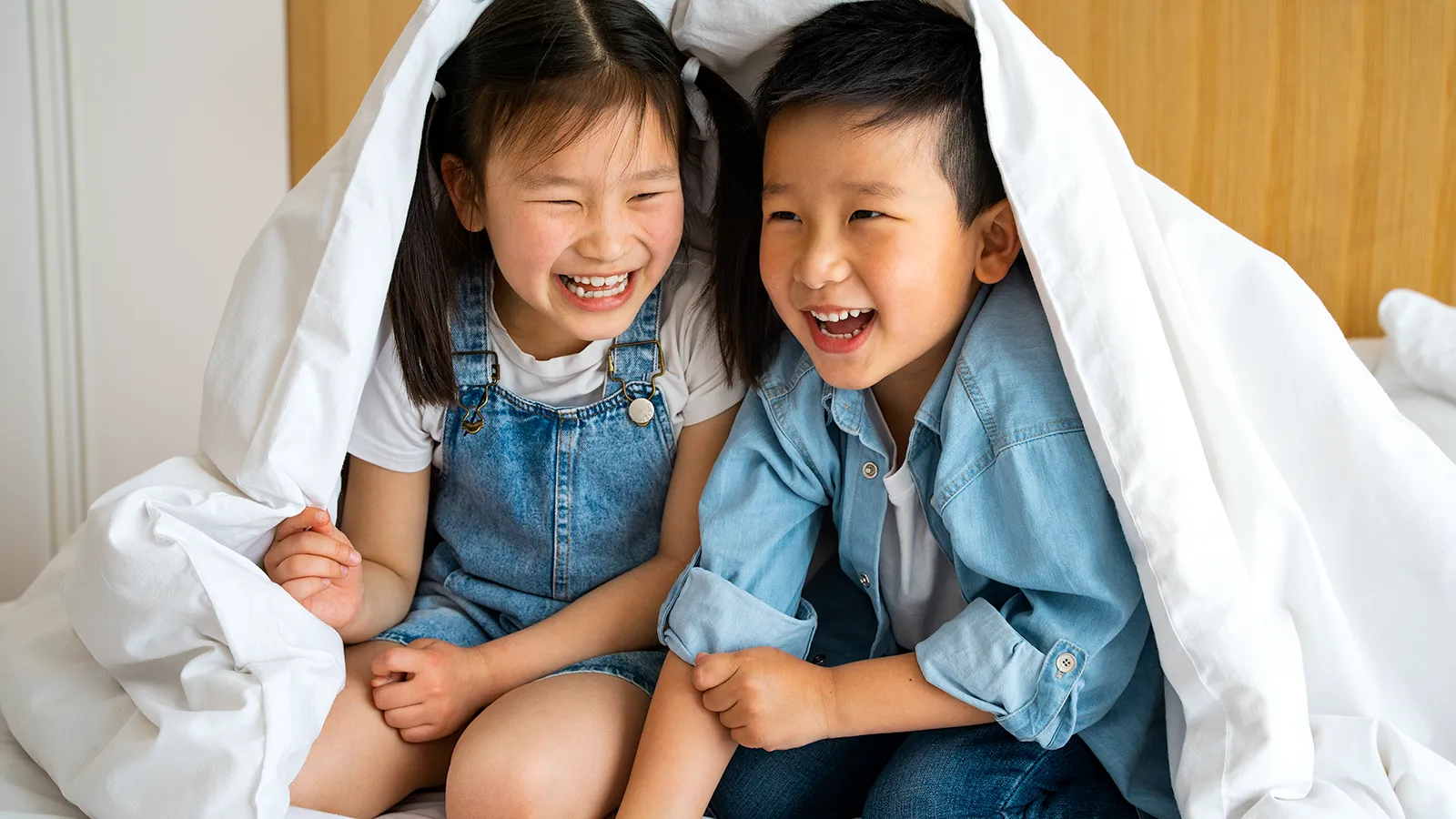 たまごだるま TamagoDaruma