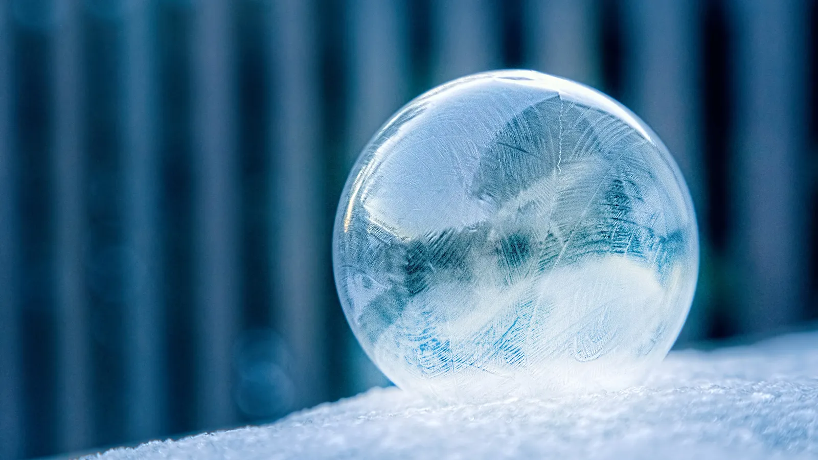 The Magic of “Freezing Soap Bubbles” That Only Appear on Frigid Mornings – Detailed Guide from Recipe to Photography The Magic of "Freezing Soap Bubbles" That Only Appear on Frigid Mornings - Detailed Guide from Recipe to Photography